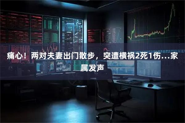 痛心！两对夫妻出门散步，突遭横祸2死1伤…家属发声